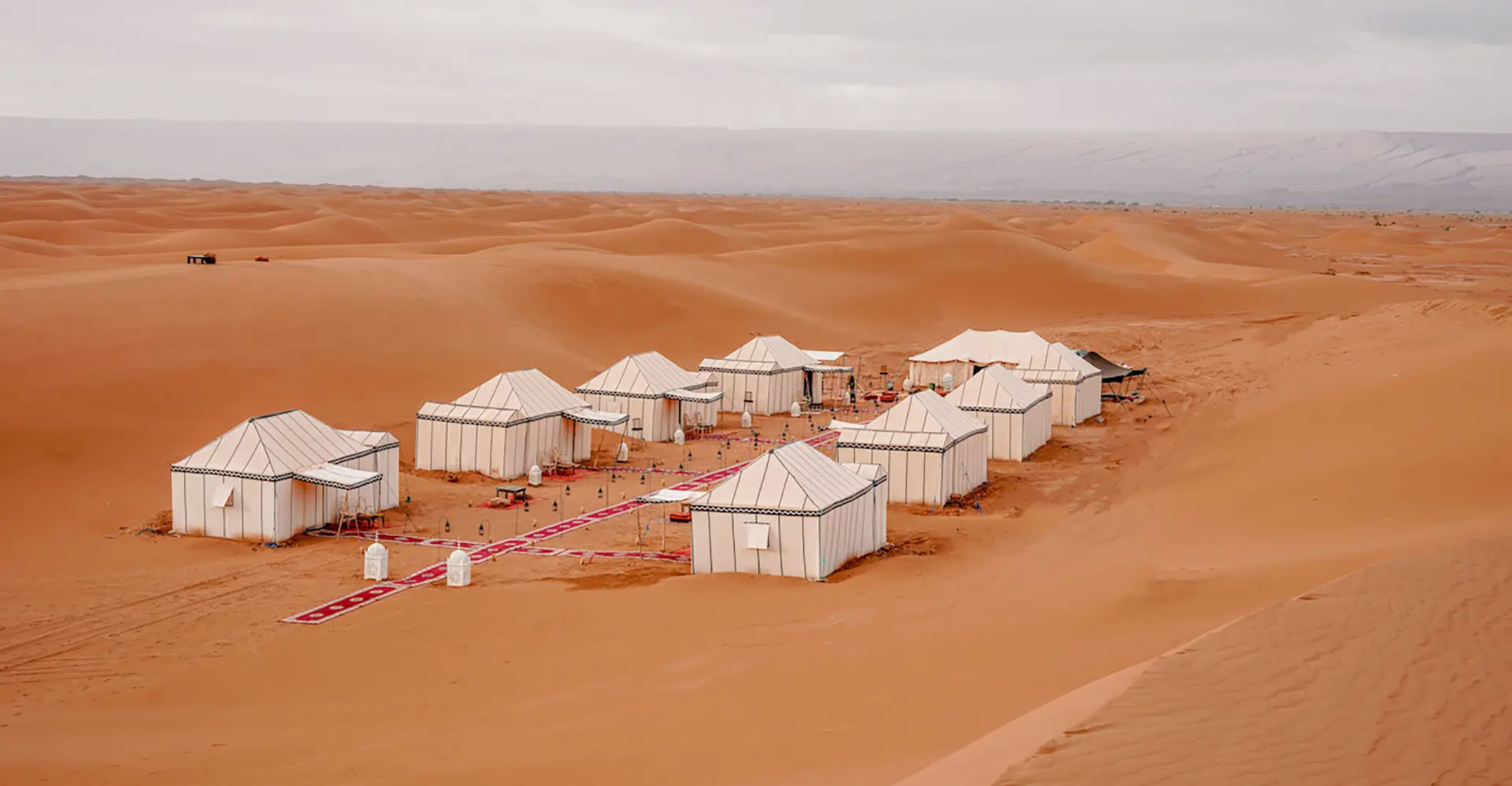 Sahara Calling