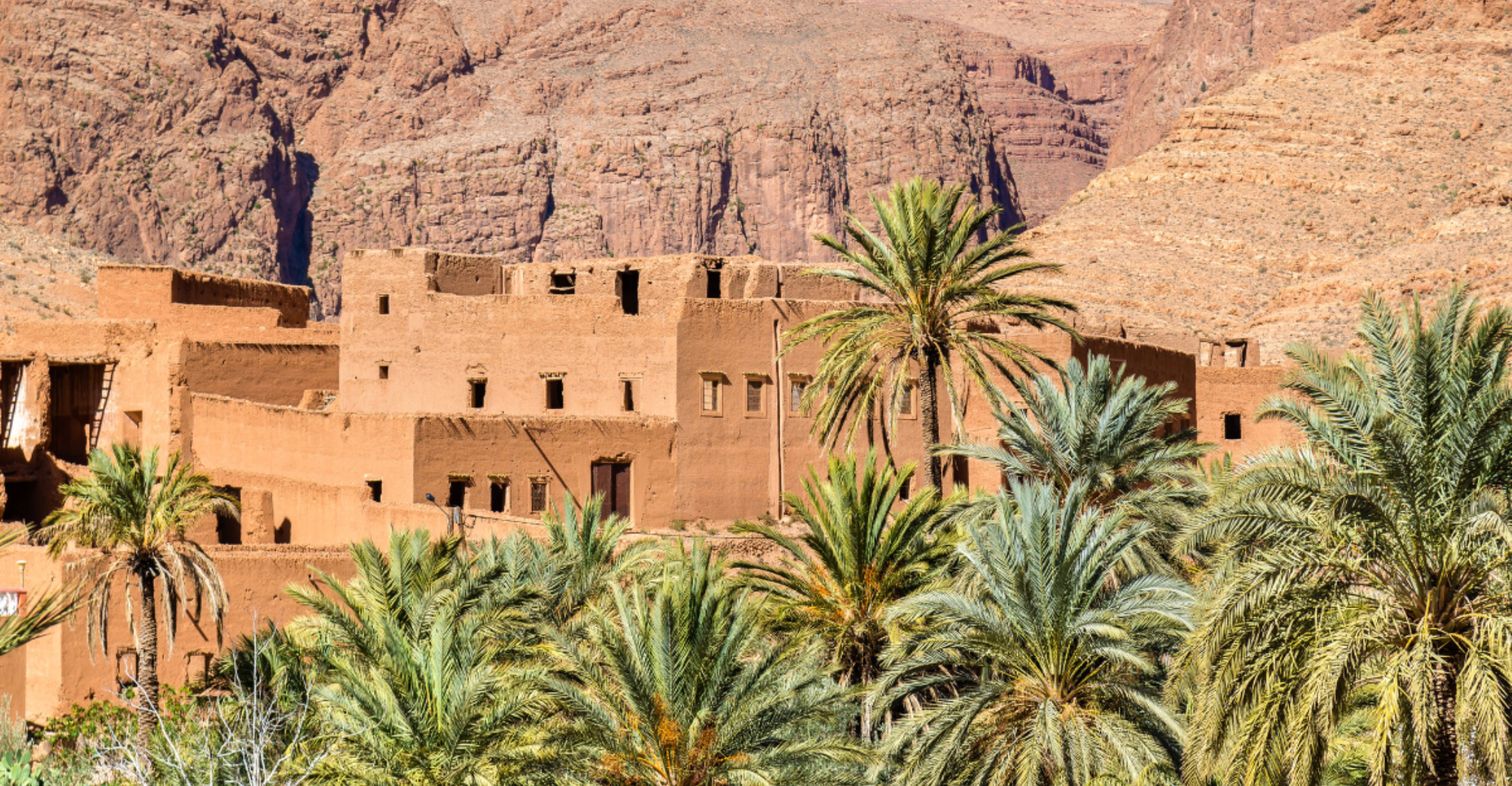 Sahara Calling