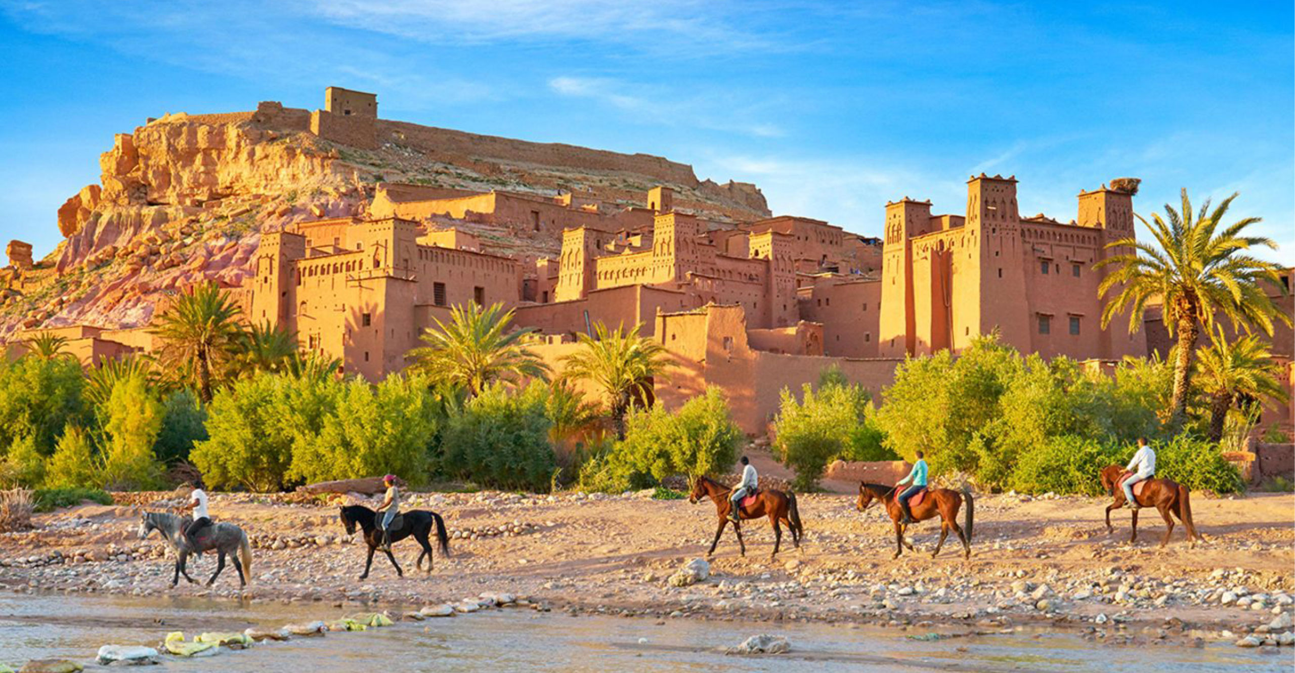 Sahara Calling