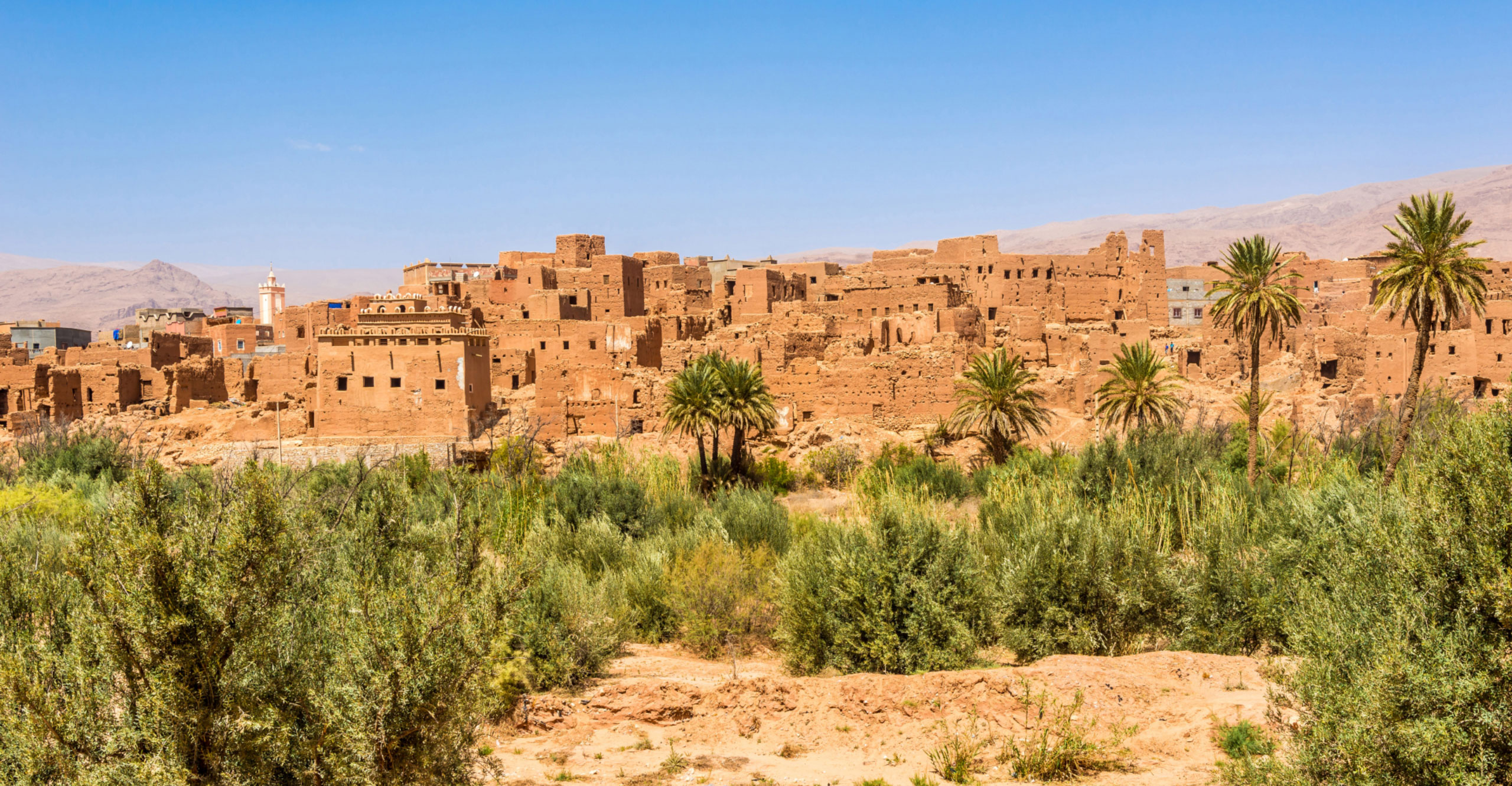 Sahara Calling