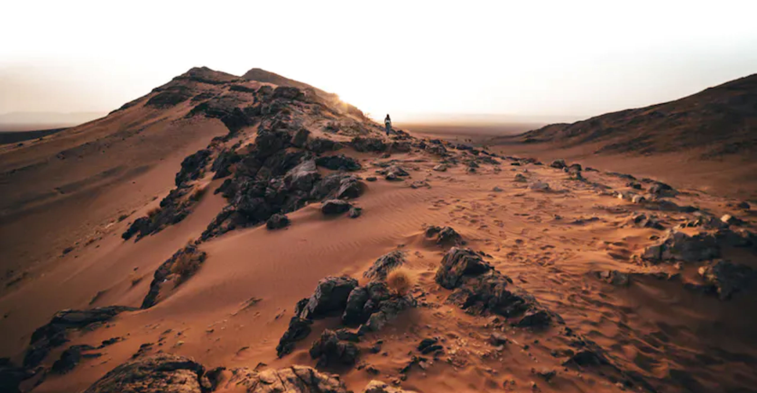 Sahara Calling