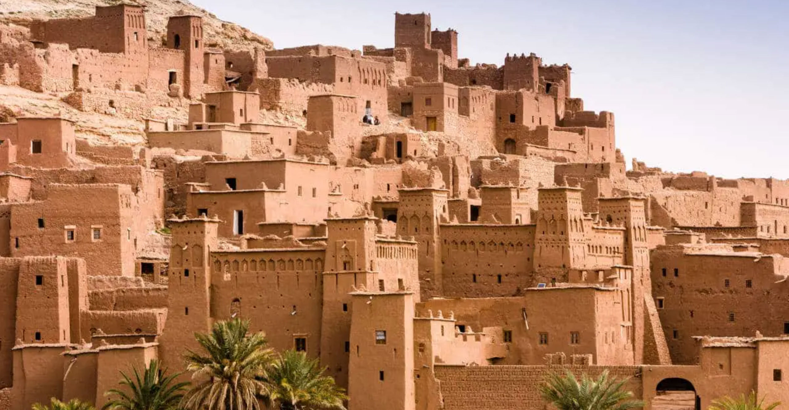 Sahara Calling