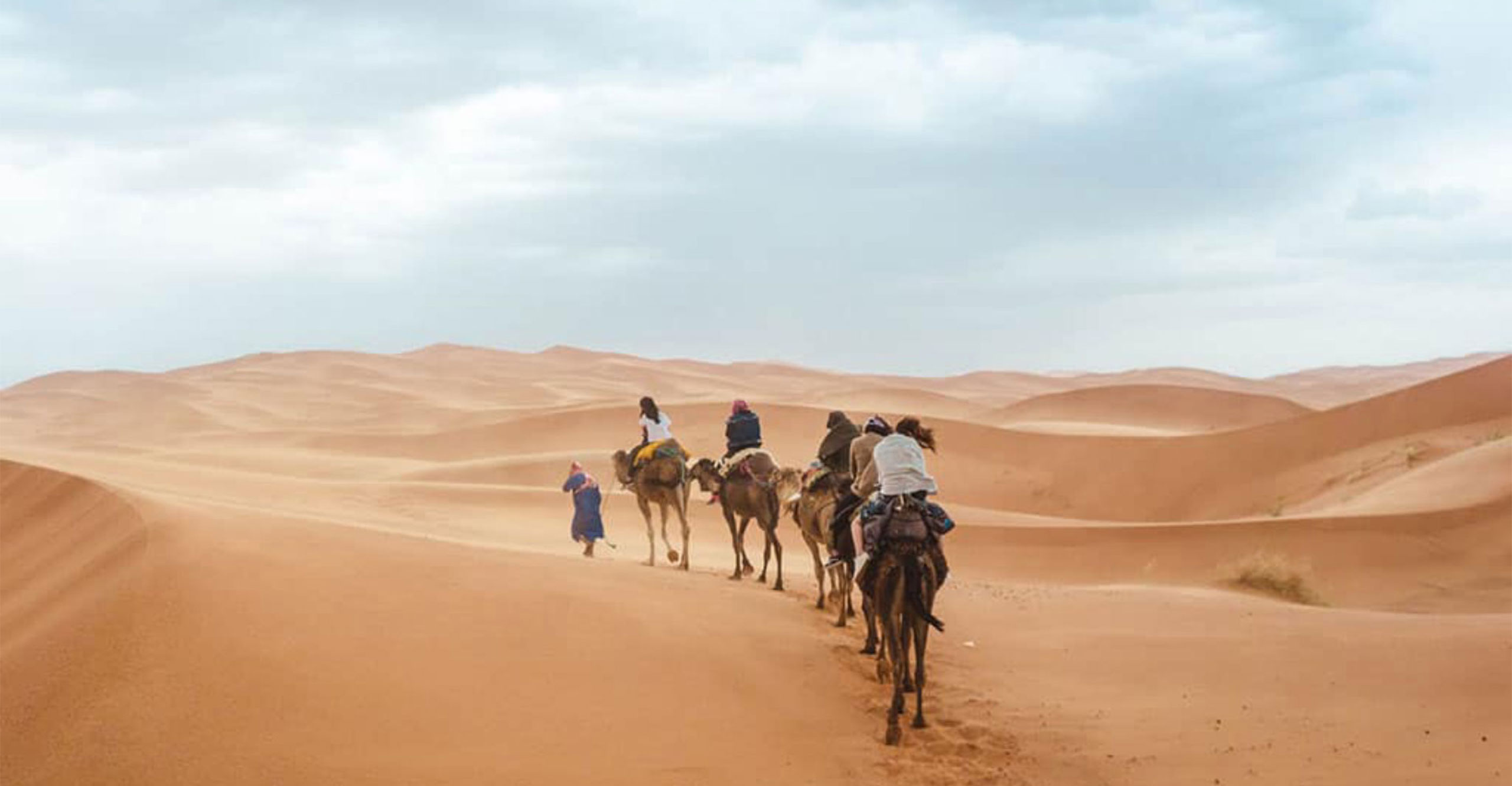 Sahara Calling