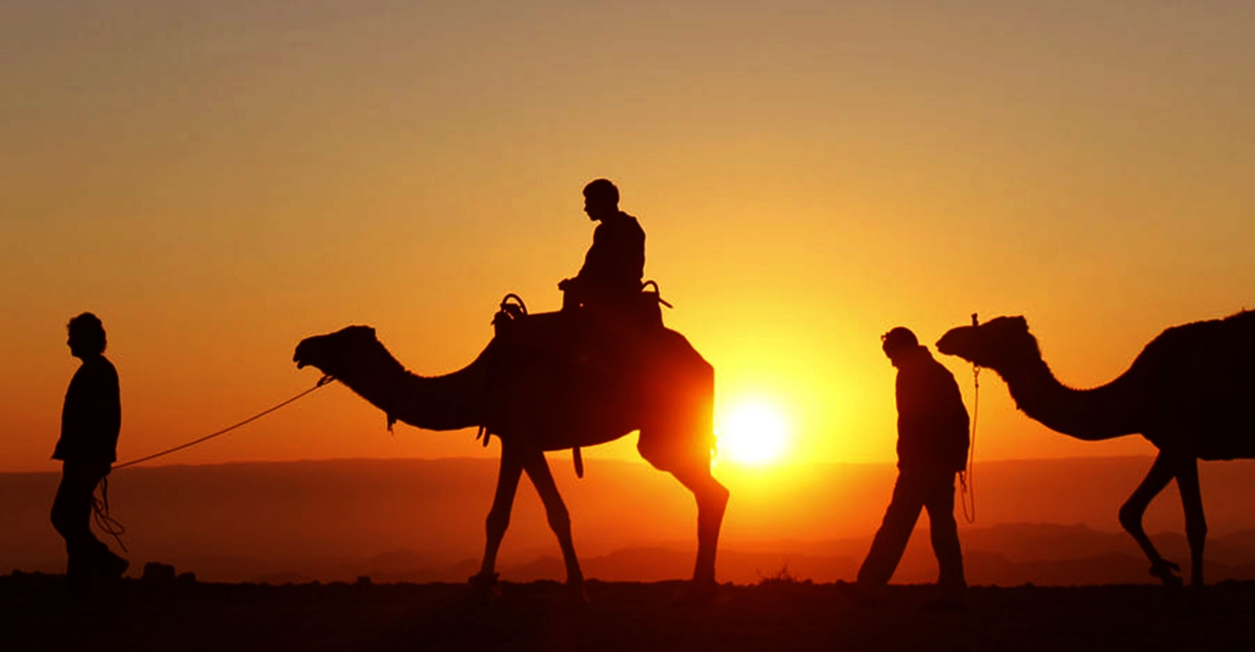 Sahara Calling
