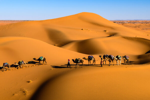 Luxury 5-Day Desert Tour from Marrakech to Erg Chigaga (2)