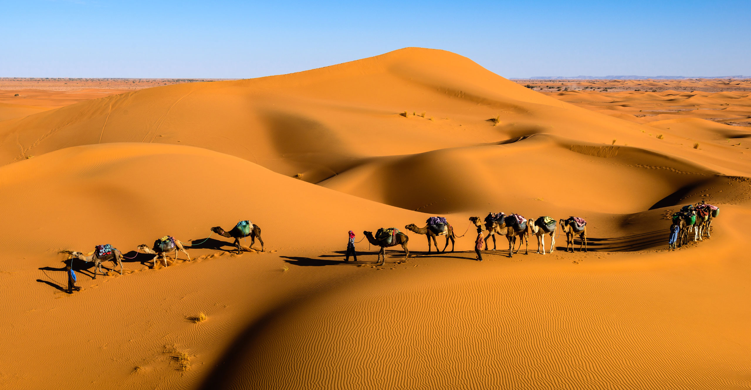Sahara Calling