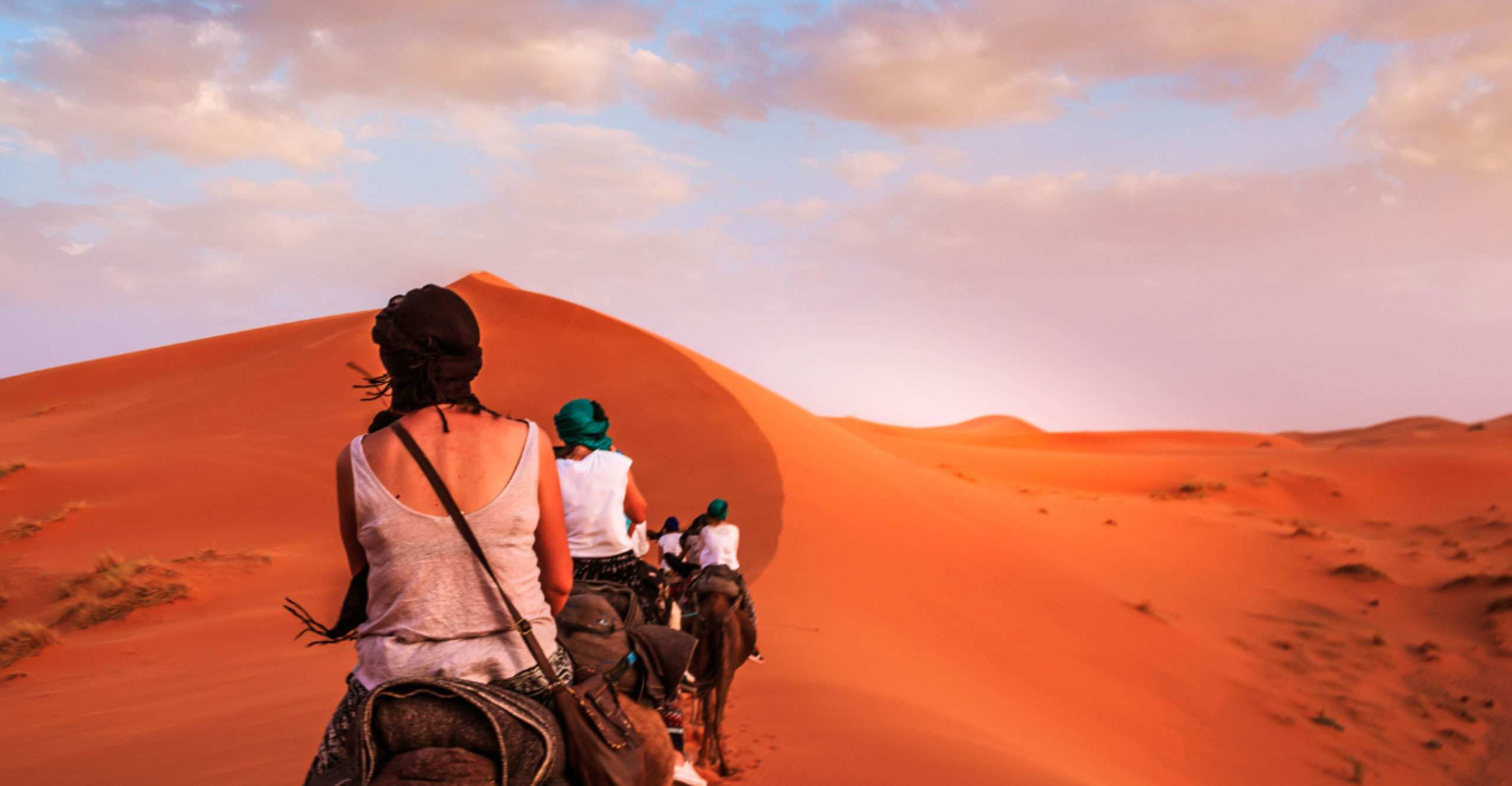 Sahara Calling
