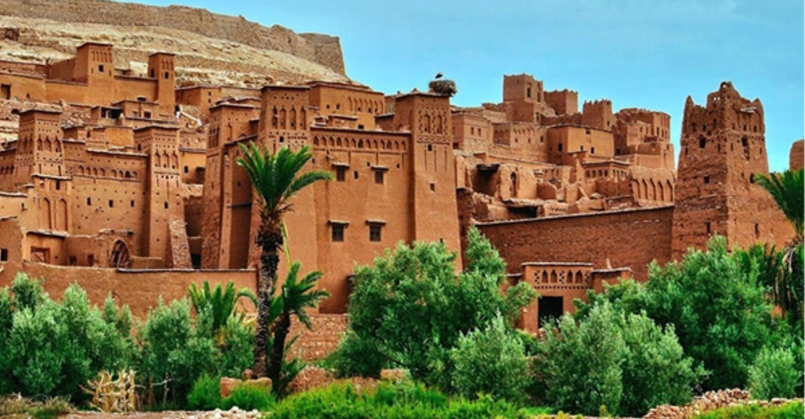 Sahara Calling