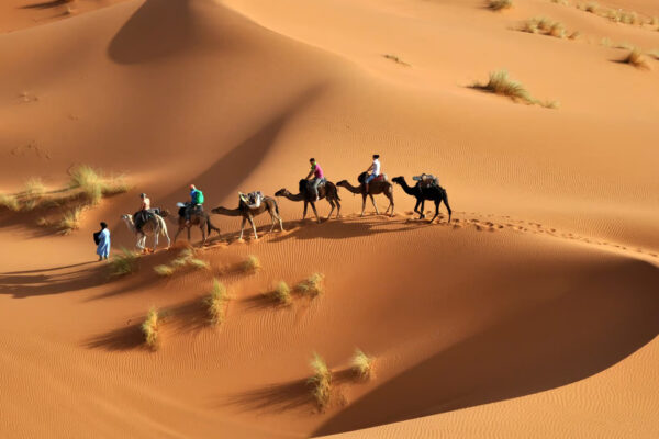 SAHARA