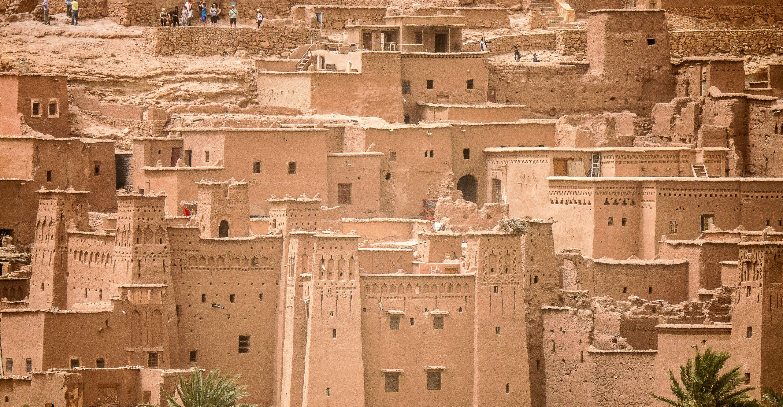 Sahara Calling