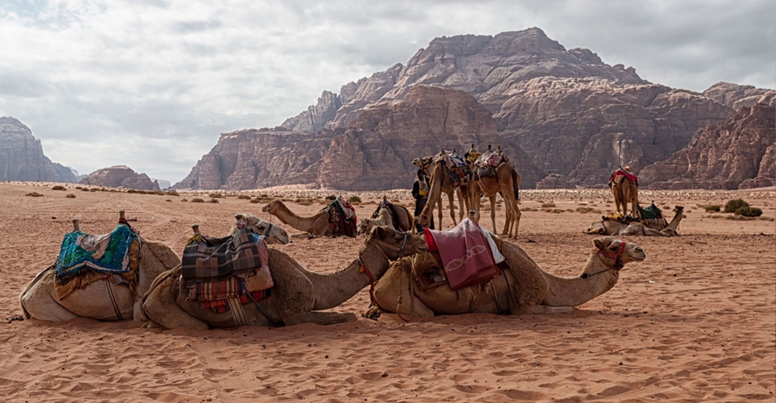 Sahara Calling