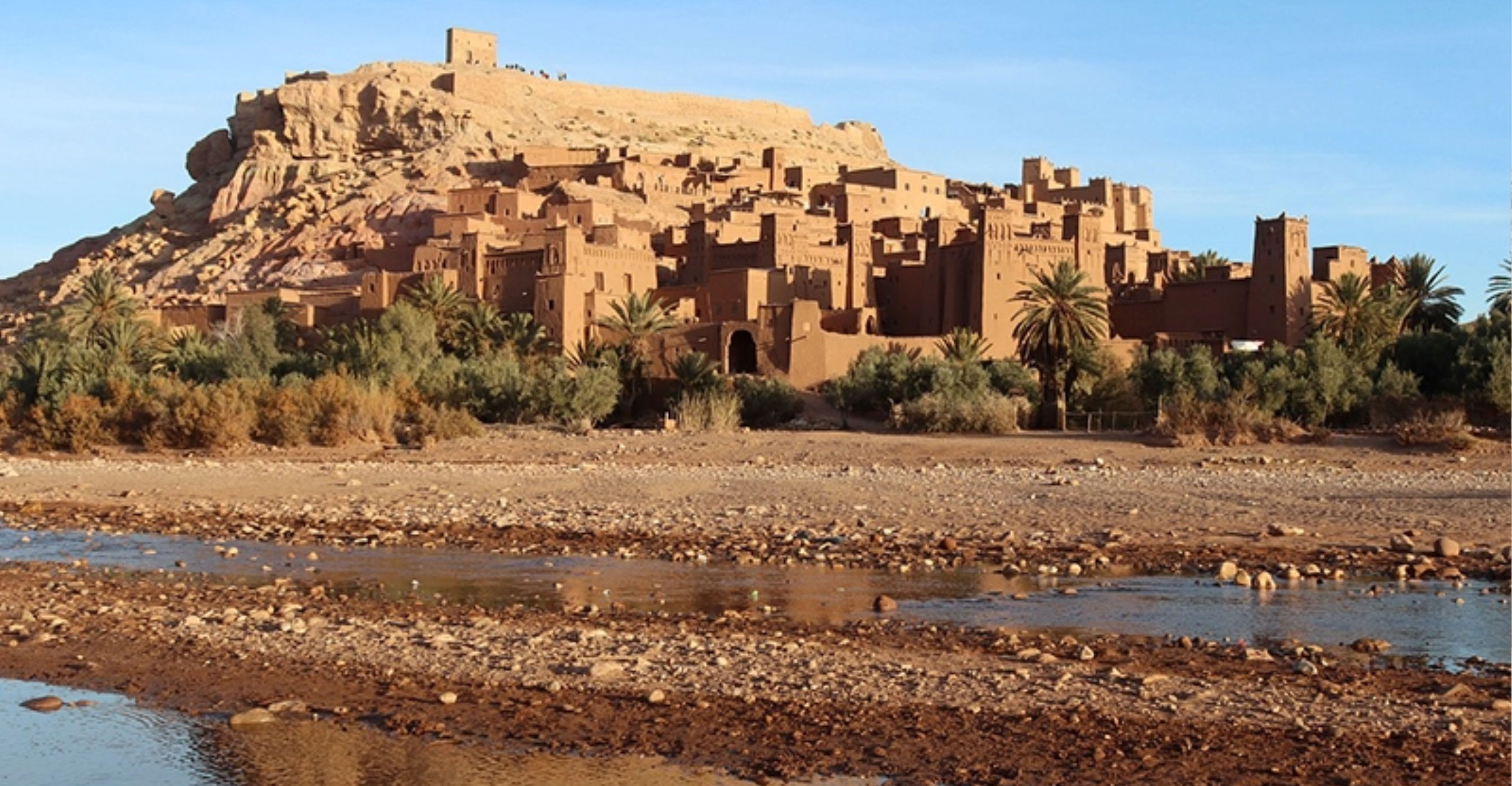 Sahara Calling