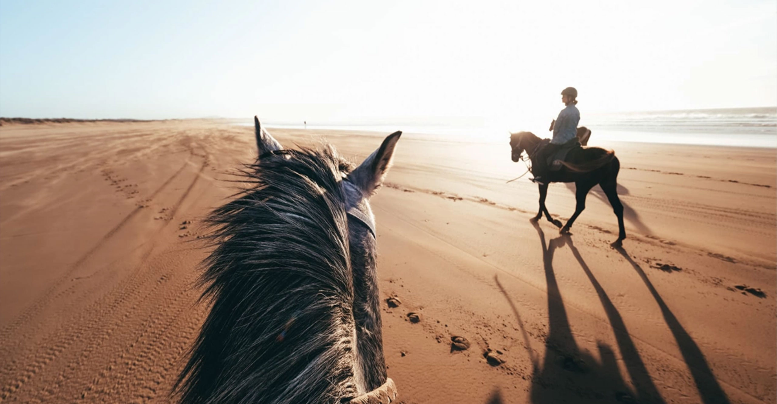 Sahara Calling