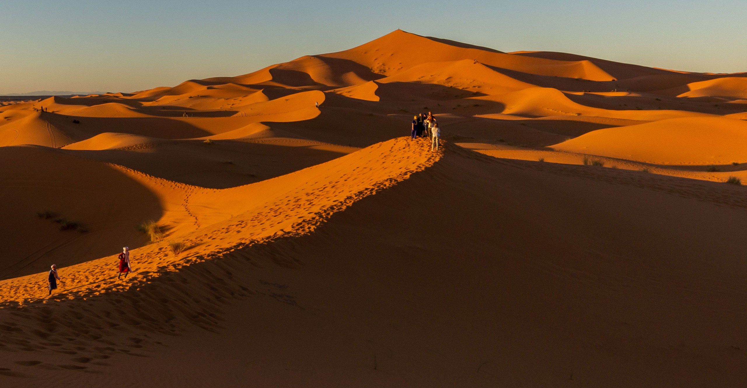 Sahara Calling