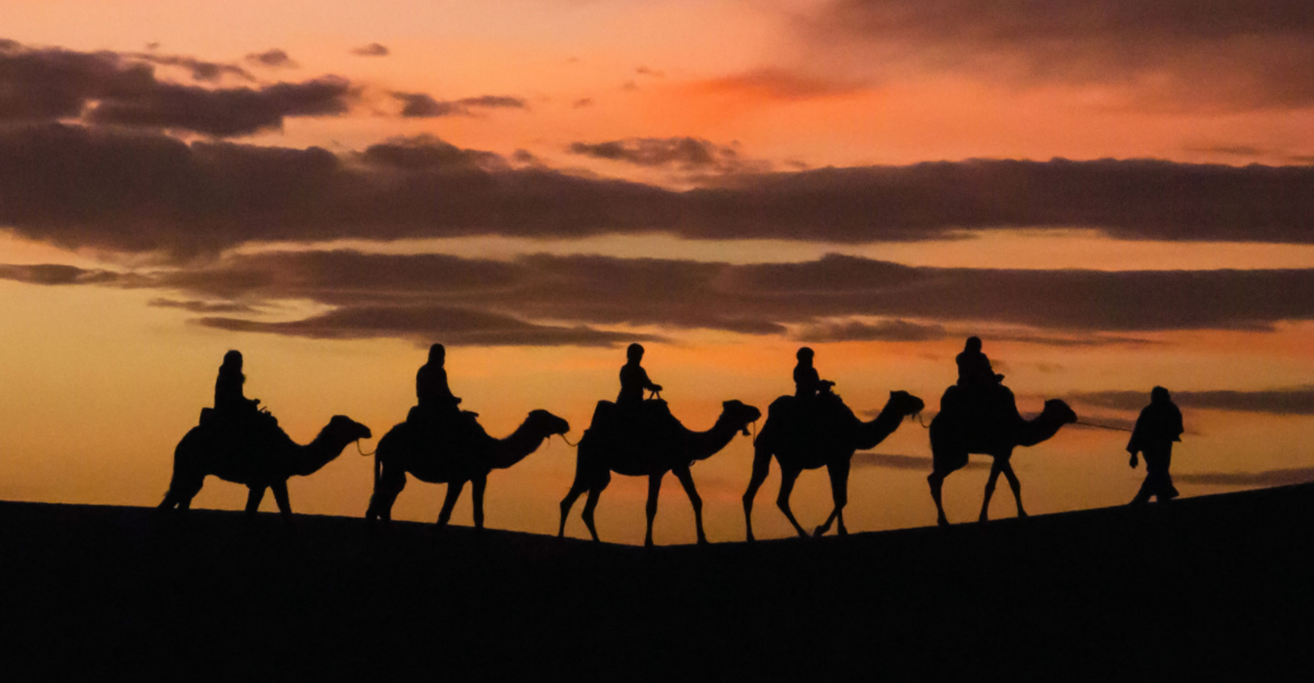 Sahara Calling